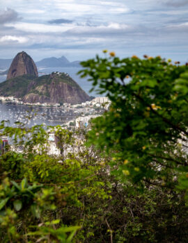 Brazil in 4K